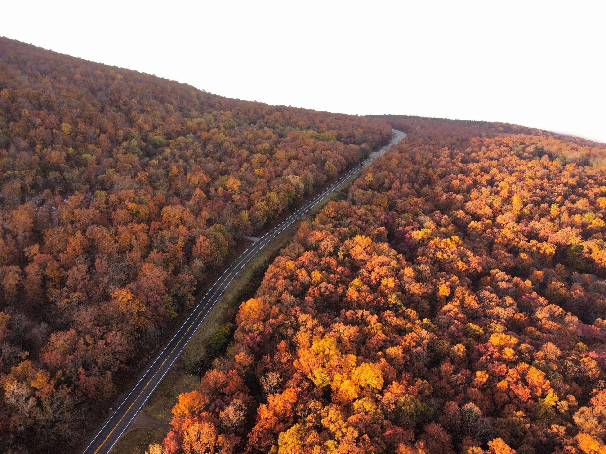 Aerial view of winding road through autumn Ozark forest
